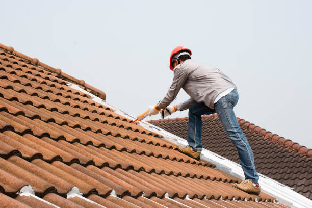 Best Flat Roofing  in Amboy, IL