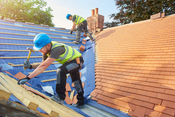 Best Emergency Roof Repair Services  in Amboy, IL